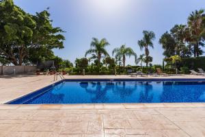 une grande piscine avec des palmiers en arrière-plan dans l'établissement Beachfront Luxury Living Limassol, à Limassol