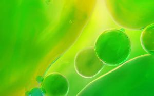 a group of green drops of water on a green leaf at Residence Amira in Hannover