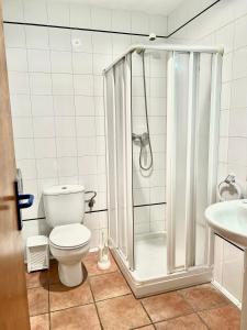 a bathroom with a shower and a toilet and a sink at Albergue Urbasa in Eulate +6 photos