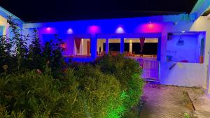 Zahrada ubytování Jasodha Resort