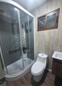 a bathroom with a shower and a toilet and a sink at Piscinas y cabañas llancanao in Linares