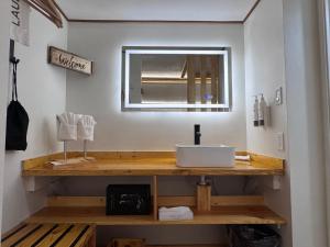 a bathroom with a sink and a mirror at Motorcycle Inn in Kodak