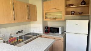 a kitchen with a white refrigerator and a sink at Studio Voltaire avec parking commun gratuit dans la copropriété in Ferney-Voltaire +2 photos