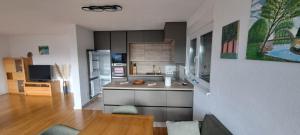 Dapur atau dapur kecil di Sarajevo Apartment