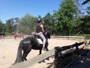 une personne faisant de l'équitation au-dessus d'une clôture dans l'établissement Augustusgabe Barby, à Barby