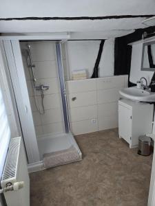 een badkamer met een douche en een wastafel bij Mary Haus in Blasbach +15 foto's