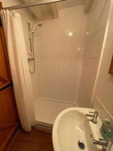 a bathroom with a shower and a sink and a toilet at Notre Refuge à Montbroux in Sacierges-Saint-Martin