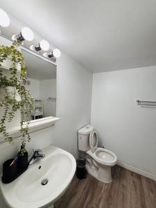 ein Badezimmer mit Waschbecken, Toilette und Spiegel in der Unterkunft Tovah in Winnipeg + 25 Fotos