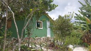 a green house with a window in a garden at Vista do Sincorá in Ibicoara