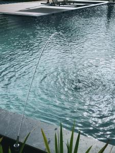 a pool of water with a water hose in it at Tambuna Retreat ,TAMBUN ,IPOH in Tambun