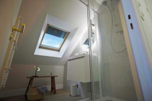 ein Bad mit einer Glasdusche und einem Dachfenster in der Unterkunft Soft Wood - Duplex - Historique in Reims
