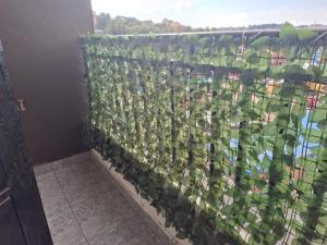 Κήπος έξω από το Ben's Apartment