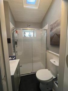 a bathroom with a shower with a toilet and a sink at Family-Pet Friendly-Sleeps 10-Hot Tub-Sauna in Barnagowlane