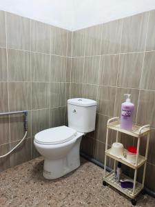 KodiangにあるD'Aleena Homes Kodiang - Guesthouse 2のバスルーム(白いトイレ、シャワー付)