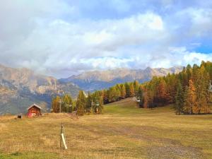 Naturlandskabet i nærheden af lejligheden