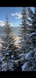 Φυσικό τοπίο κοντά σε αυτή η παραθεριστική κατοικία +11 φωτογραφίες