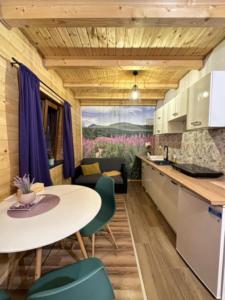 Kuchyň nebo kuchyňský kout v ubytování Motylowe Wzgórze Apartamenty Zawóz