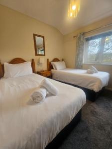 ein Hotelzimmer mit zwei Betten und einem Fenster in der Unterkunft Newquay Coast and Cabin in Saint Columb Road Station