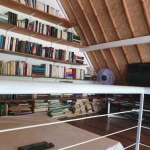 Η βιβλιοθήκη της βίλας