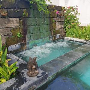 Πισίνα στο ή κοντά στο flousrish garden, cosy Home