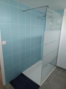 a shower with a glass door in a bathroom at Appartement Cosy chez Nicolas et Aline in Pompiey +11 photos
