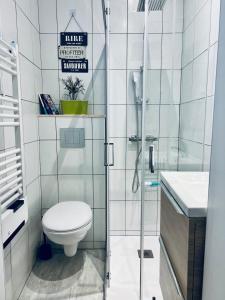 リオンにあるStudio Riom de Coeurのトイレとシャワー付きのバスルーム