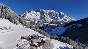 霍赫克尼希山麓丁滕Highking Chalet Grünegg的雪中与山间滑雪小屋