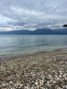 Ảnh trong thư viện ảnh của Hotel Restorant Binjaket ở Pogradec