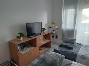 - un salon avec une télévision sur un centre de divertissement en bois dans l'établissement Aleksej, à Irig