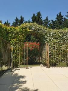 Galeriebild der Unterkunft Appartement spacieux à Monteux avec piscine partagée in Monteux