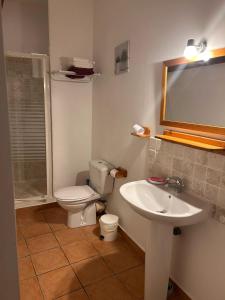 a bathroom with a toilet and a sink and a mirror at Appartement spacieux à Monteux avec piscine partagée in Monteux