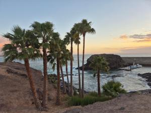 コティージョにあるCasa en Cotillo Lagos with Wifi & Netflixの浜のヤシの木群