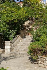 Um jardim em Cypress House