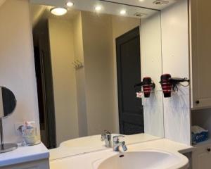a bathroom with a sink and a large mirror at Gîte Au nid de cigognes in Leutenheim