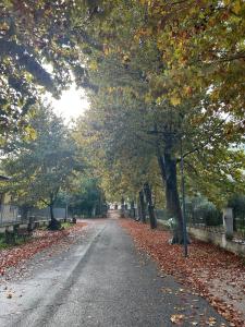 una carretera arbolada con hojas en el suelo en Viale Apartment, en Isola del Liri