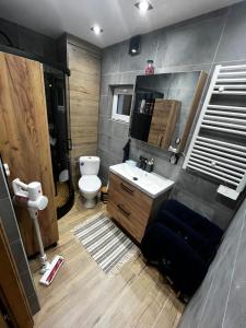 een badkamer met een wastafel, een toilet en een spiegel bij Nest Haus in Ludwikowice Kłodzkie +16 foto's