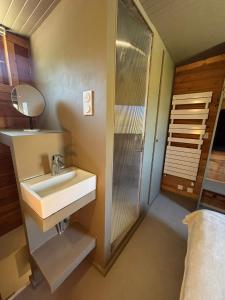 Un baño con lavabo y ducha en una habitación. en Appart 60 M2 pied pistes terrasse Vars les Claux, en Vars