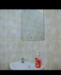 a bathroom with a sink and a mirror at Kitengela Homes in Kitengela 