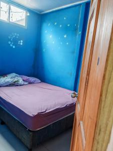 a small bed in a blue room with a door at Black Widow in Horquetas