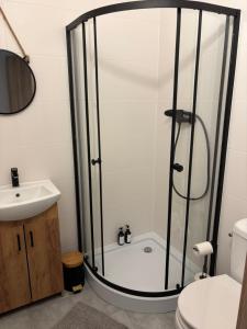 a bathroom with a shower and a sink at Apartmány Borovice in Josefŭv Dŭl