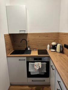 a small kitchen with a stove and a sink at Apartmány Borovice in Josefŭv Dŭl