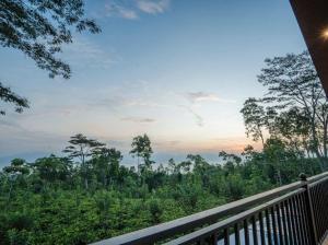 Φυσικό τοπίο κοντά σε αυτό το ξενοδοχείο +10 φωτογραφίες