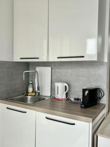a kitchen counter with a sink and a microwave at L'Appartement du Port in Étaples