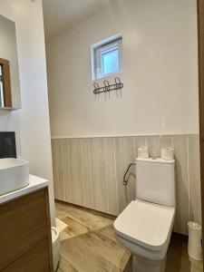 a bathroom with a white toilet and a window at L'Appartement du Port in Étaples +10 photos