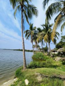 Gallery image of The best vacations in Paraíso Diamante in Acapulco