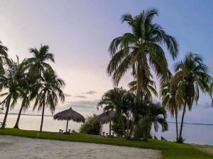 Gallery image of The best vacations in Paraíso Diamante in Acapulco +3 photos