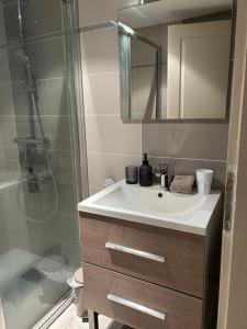 a bathroom with a sink and a shower at Chatimbarbe in Yssingeaux +20 photos