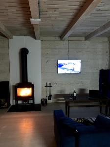 TV a/nebo společenská místnost v ubytování Будиночок над річкою