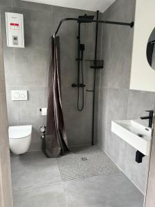 a bathroom with a shower and a toilet and a sink at Ruhige Apartments an der Donau - Schwaben Living in Munderkingen
