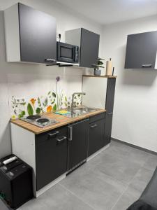 a kitchen with a sink and a microwave at Ruhige Apartments an der Donau - Schwaben Living in Munderkingen